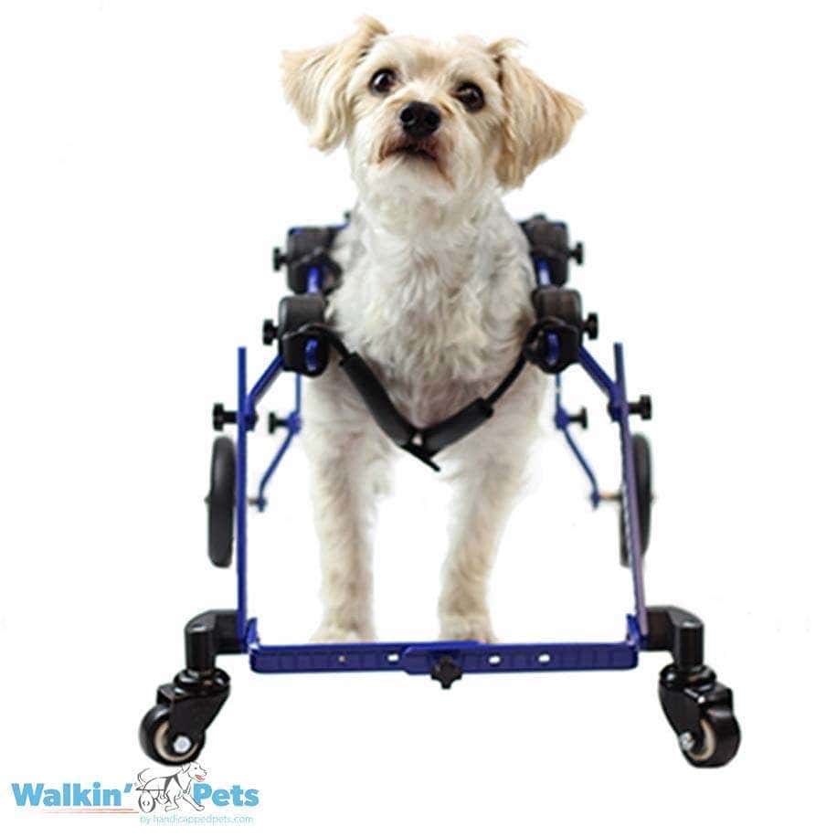 Walkin Wheels® MINI Front Wheel Attachment