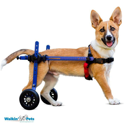 Walkin Wheels® MINI Rear Dog Wheelchair (up to 3.5kg)