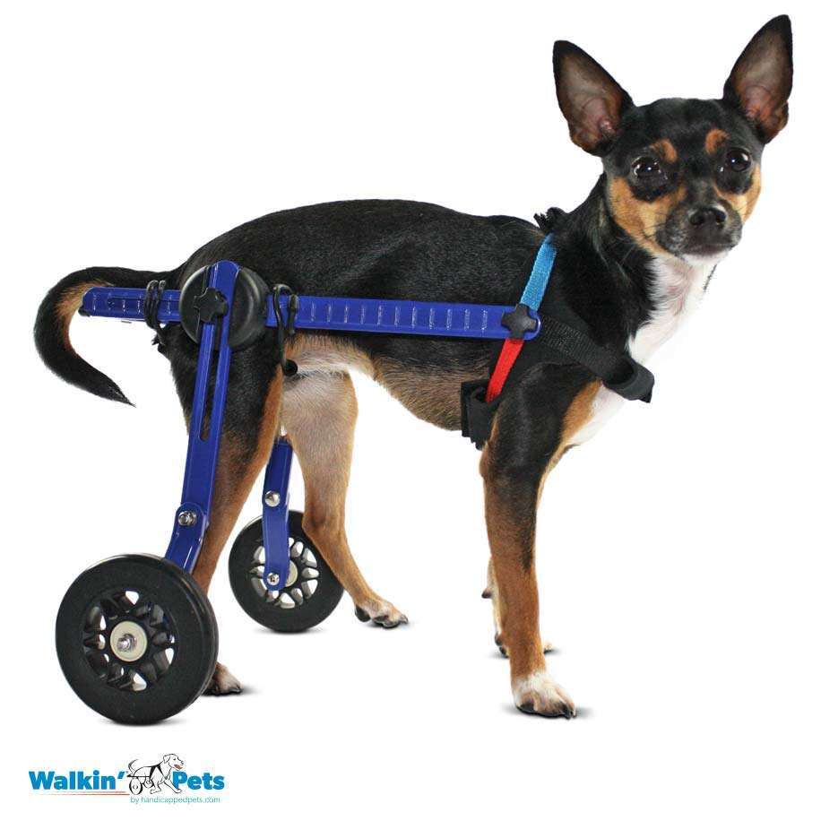 Walkin Wheels® MINI Rear Dog Wheelchair (up to 3.5kg)