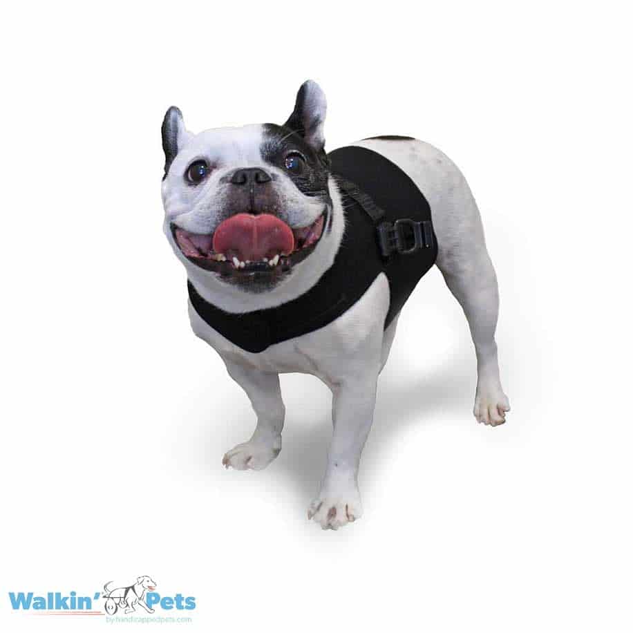 Walkin Wheels® Front Vest
