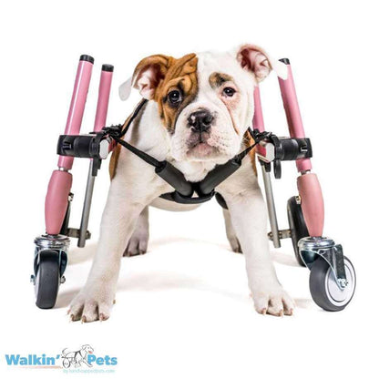 Walkin Wheels® SMALL Front Wheels Attachment