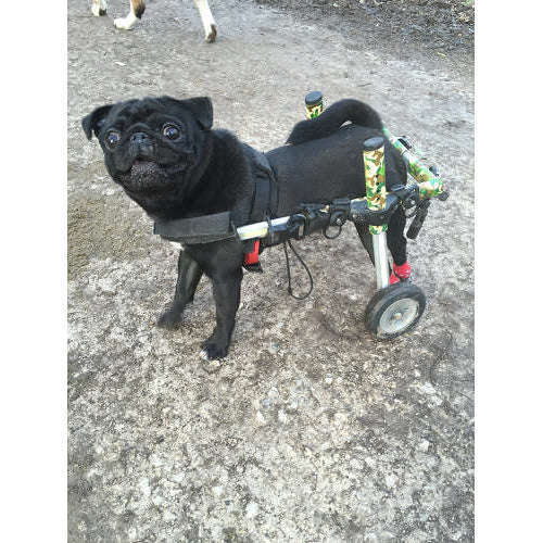 Walkin Wheels® SMALL Rear Dog Wheelchair (3.5 - 11kg)