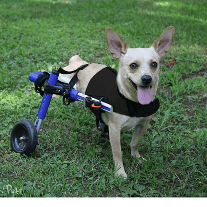 Walkin’ Wheels - Amputee Dog Leg Ring Cover