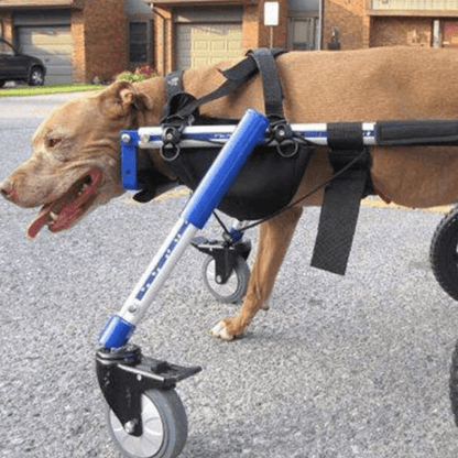 Walkin’ Wheels - Amputee Dog Leg Ring Cover