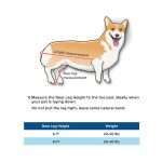 Walkin’ Wheels CORGI Wheelchair