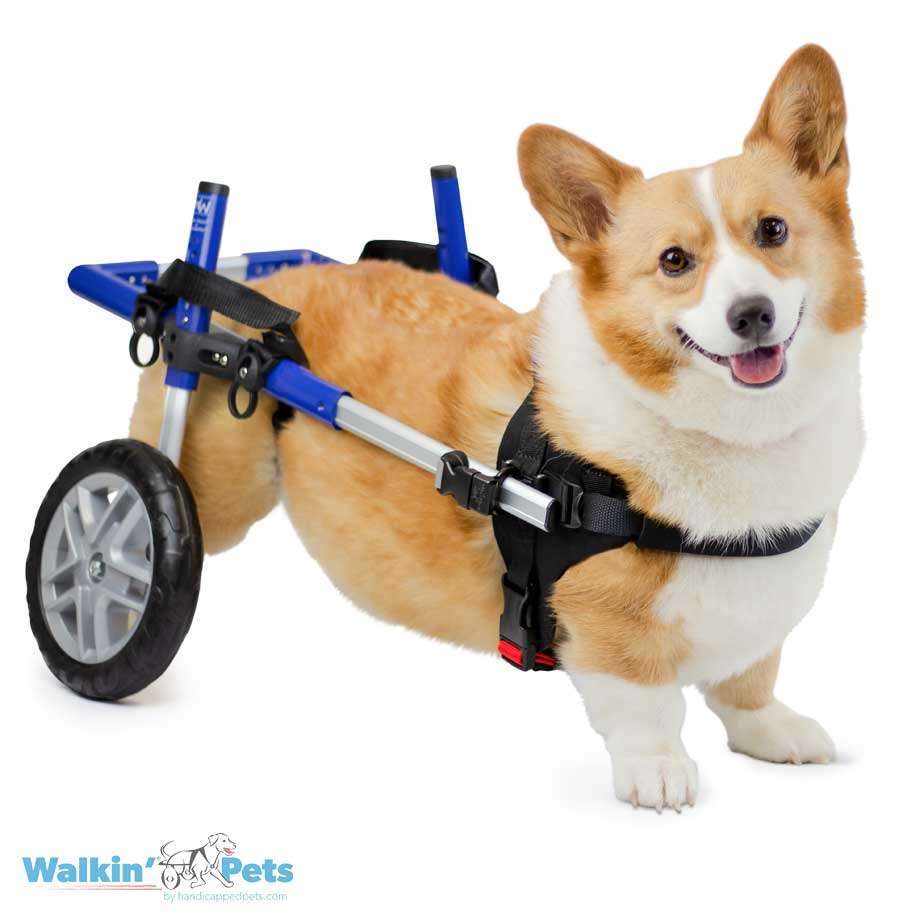 Walkin’ Wheels CORGI Wheelchair