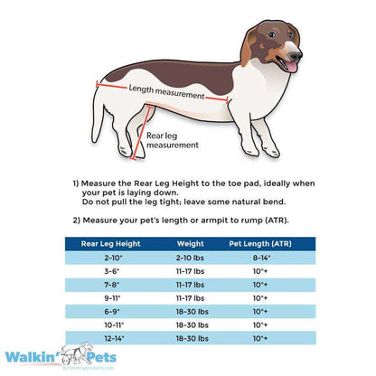 Walkin’ Wheels DACHSHUND Wheelchair