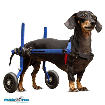 Walkin’ Wheels DACHSHUND Wheelchair