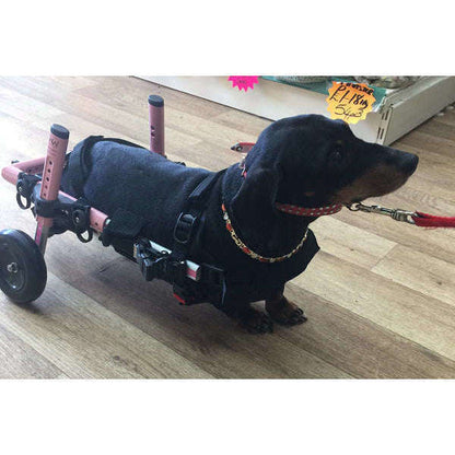 Walkin’ Wheels DACHSHUND Wheelchair
