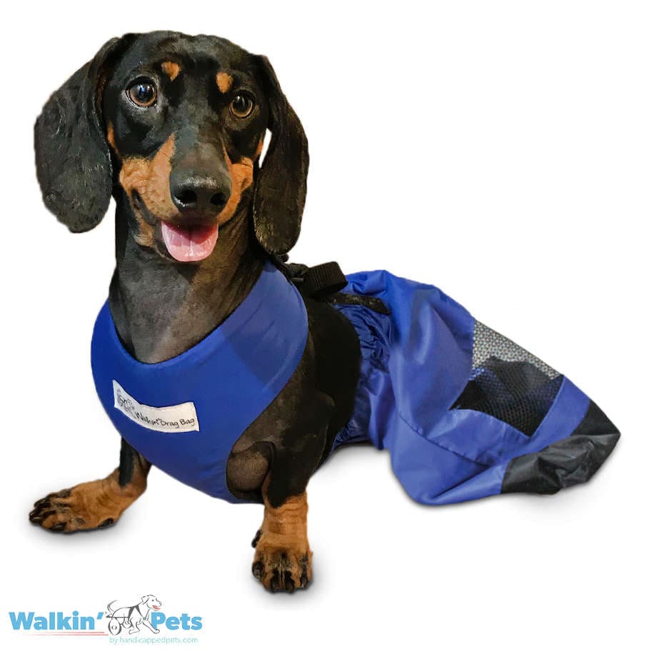 Walkin’ Wheels - Dog Drag Bag