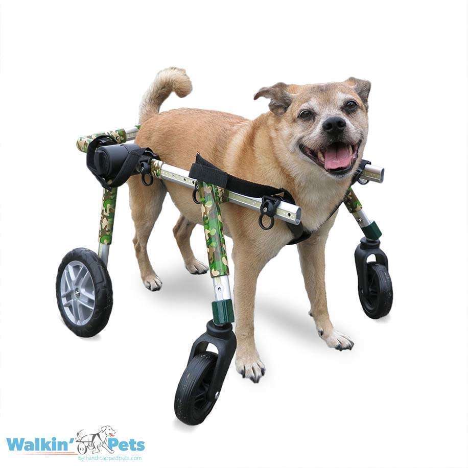 Walkin’ Wheels Full Support/4-Wheel MEDIUM (11 to 30 kg)
