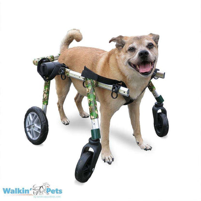 Walkin’ Wheels Full Support/4-Wheel MEDIUM (11 to 30 kg)