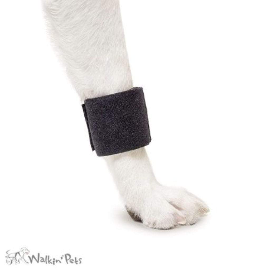 Walkin’ Wheels - Leg Ring Connector (Front Only)