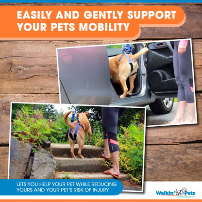 Walkin’ Wheels - Up-n-Go Leash
