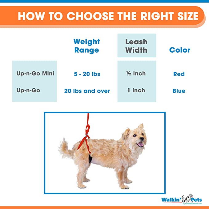 Walkin’ Wheels - Up-n-Go Leash