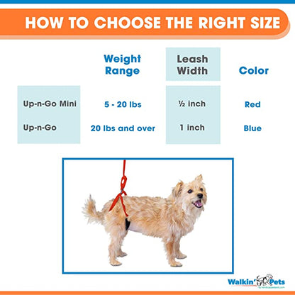 Walkin’ Wheels - Up-n-Go Leash