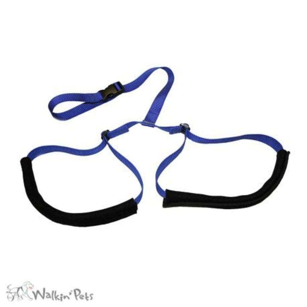 Walkin’ Wheels - Up-n-Go Leash