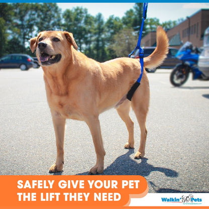 Walkin’ Wheels - Up-n-Go Leash