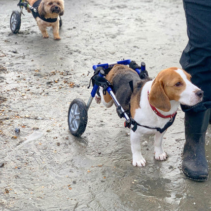 Walkin Wheels® SMALL Rear Dog Wheelchair (3.5 - 11kg)