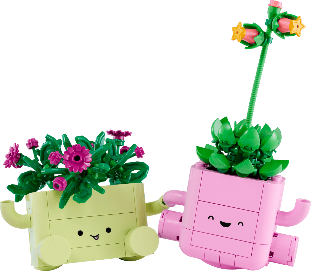 LEGO Botanicals Rocking Plants Building Set