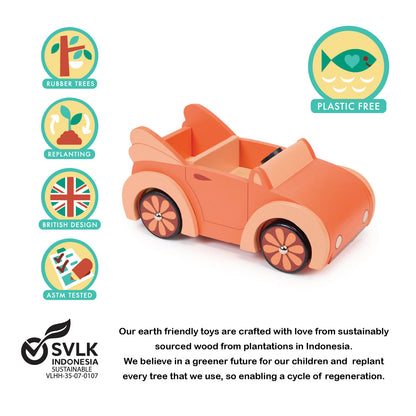 Dolls House Car