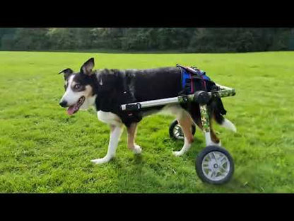 Walkin Wheels® MEDIUM Rear Dog Wheelchair (11 to 30kg)
