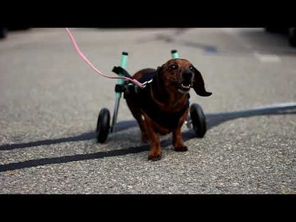 Walkin Wheels® SMALL Rear Dog Wheelchair (3.5 - 11kg)