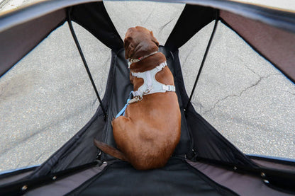 Petique Apollo Elite Pet Stroller incl. Free Rain Cover & Bike Adapter